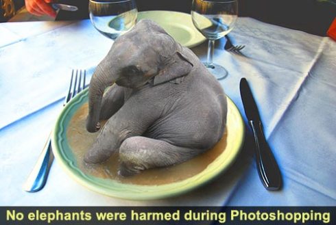 съесть слона по кусочкам широкоформатные фотографии Название